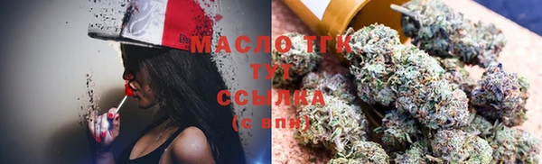 стаф Дмитров