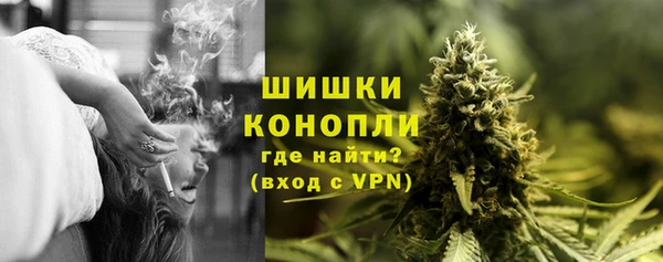прущая мука Дмитриев