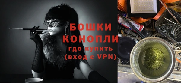 стаф Дмитров