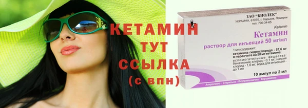 стаф Дмитров