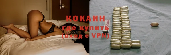 стаф Дмитров