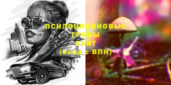 стаф Дмитров