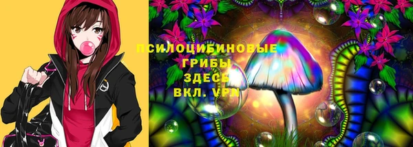 стаф Дмитров