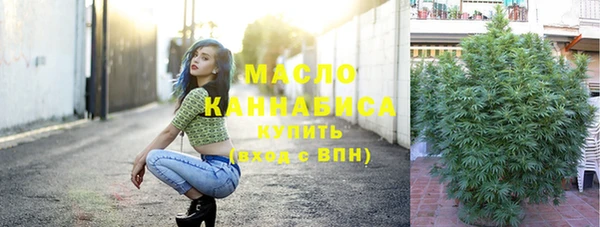 стаф Дмитров
