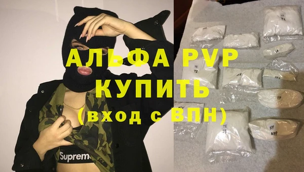 стаф Дмитров