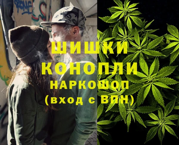 прущая мука Дмитриев