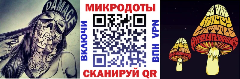 mega вход Снежинск Псилоцибиновые грибы мицелий купить
