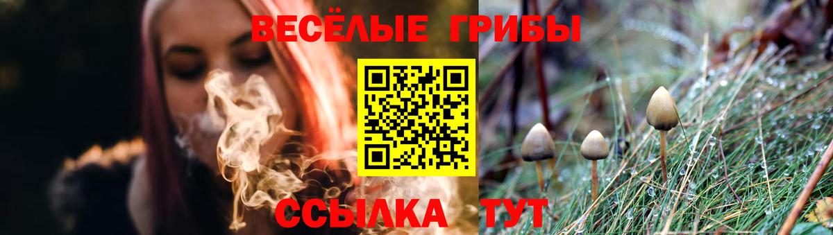 Галлюциногенные грибы Magic Shrooms  Вход с VPN  Галлюциногенные грибы Magic Shrooms  где купить наркоту  Снежинск 